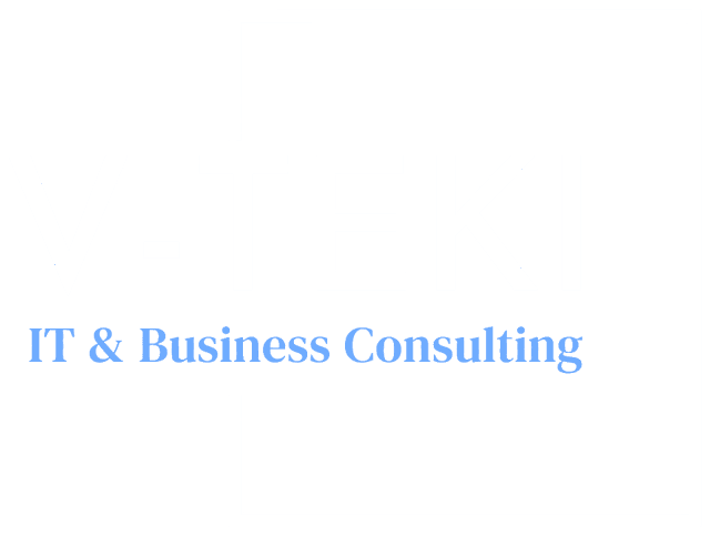 V-TEKI — IT & Business Consulting